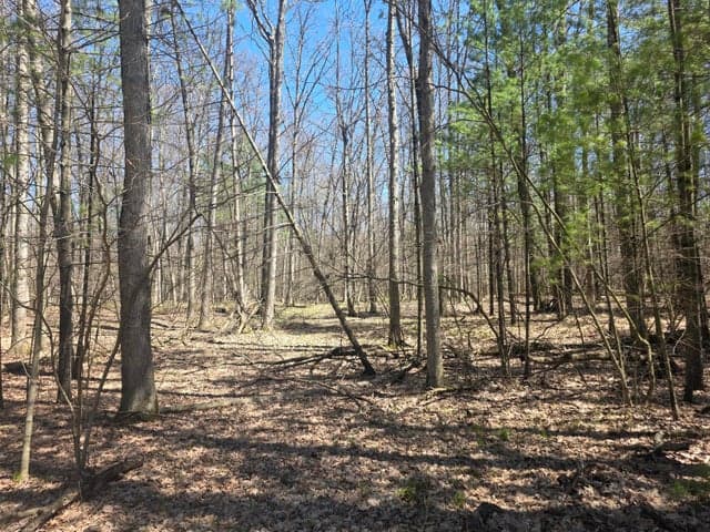 7696 Muskegon Boulevard, Newaygo, MI 49337