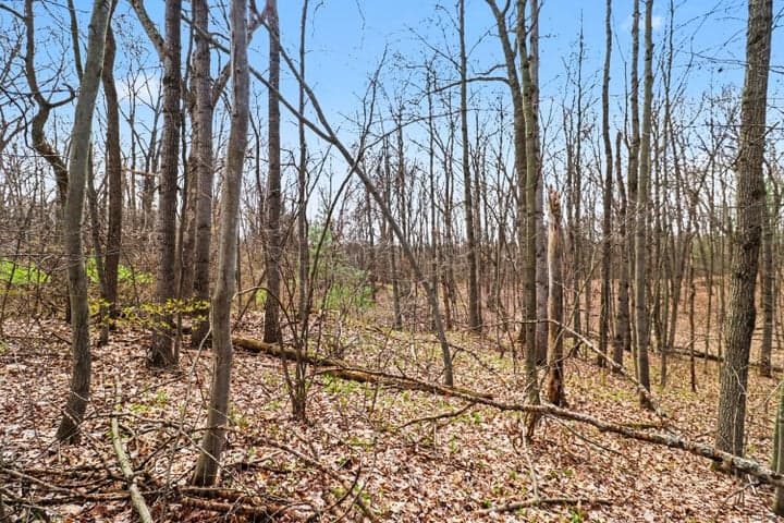 6940 19 Mile Road NE, Cedar Springs, MI 49319