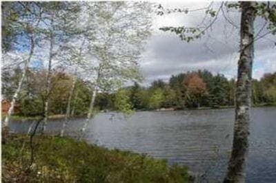 VL Lot 811 Miramichi Drive, Evart, MI 49631