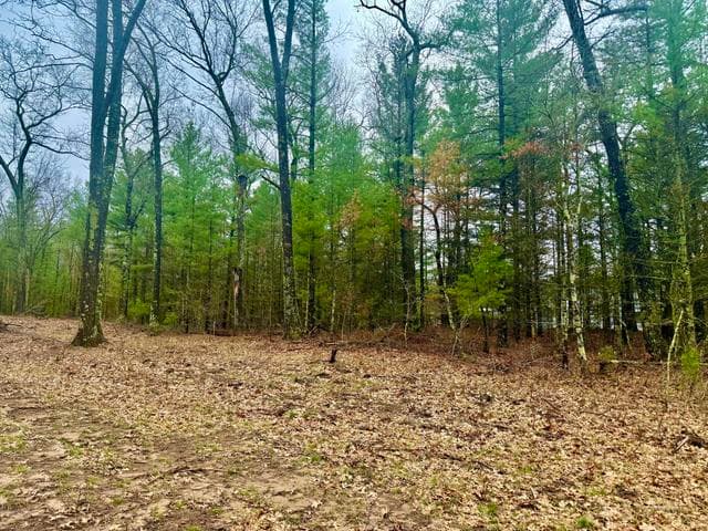 1127 Chicago Drive 19, Whitehall, MI 49461