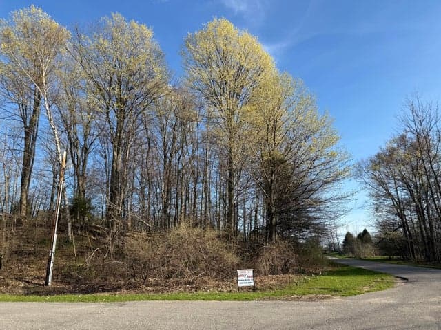 W Snead Drive, Ludington, MI 49431