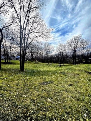 TBD Mcpherson Street, Stanton, MI 48888