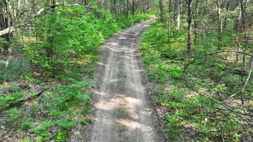 V/L Benson Rd / Frd 5259, Free Soil, MI 49411