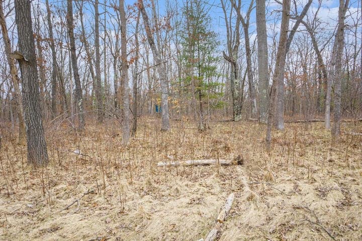 V/L N Woodbridge Road, Bitely, MI 49309