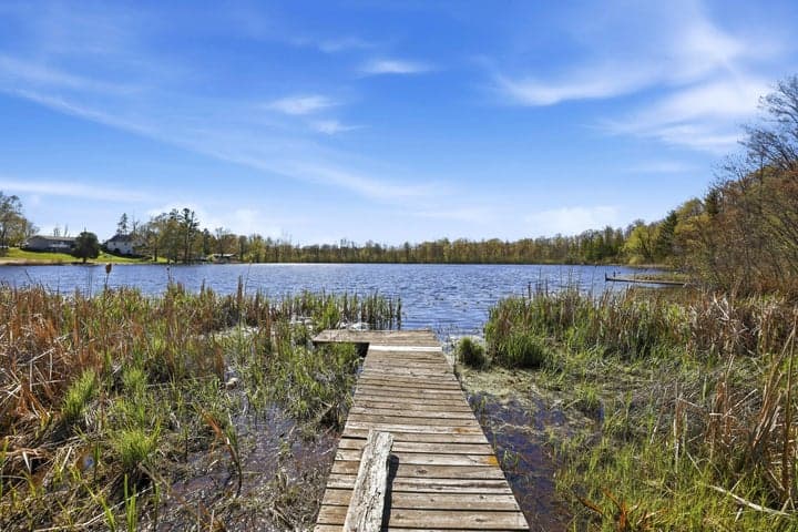 6059 Terry Drive, Six Lakes, MI 48886
