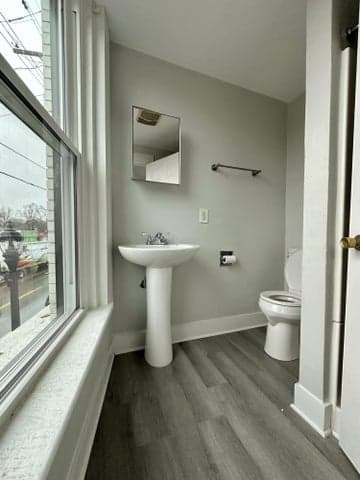 Photo 5