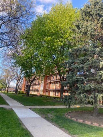 2915 W 13 Mile Road 209, Royal Oak, MI 48073