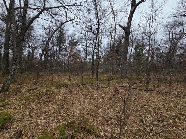 V/L S Harvard Ave., Baldwin, MI 49304