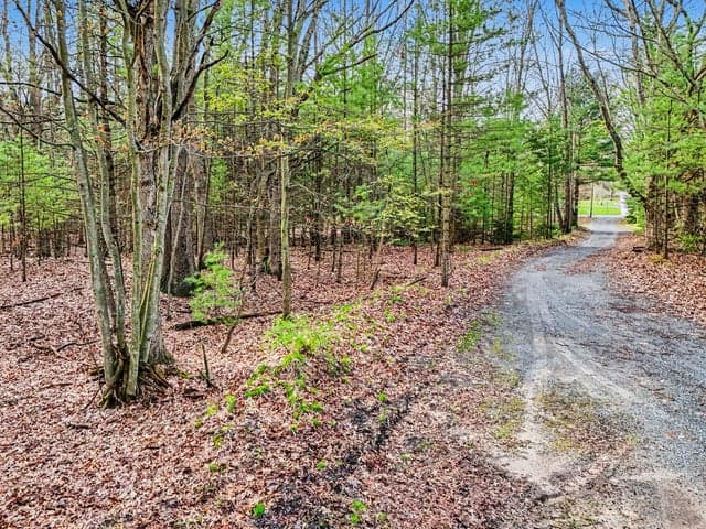 Parcel B N Morris Street, Pentwater, MI 49449