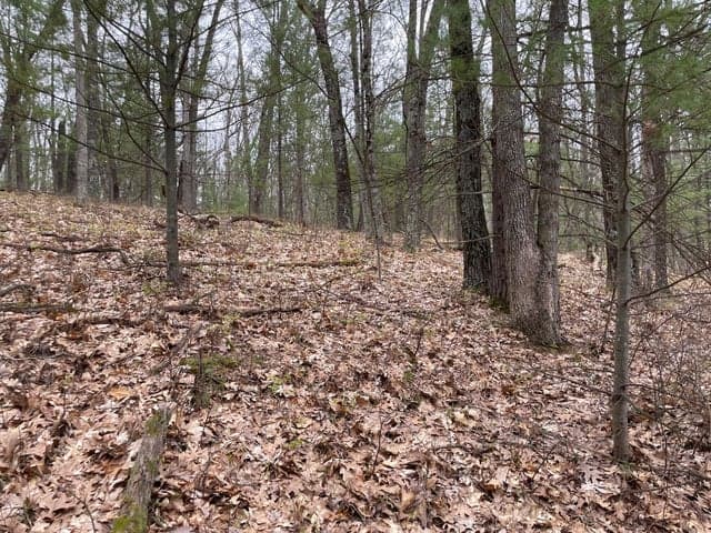 Parcel C Coates Hwy, Brethren, MI 49619