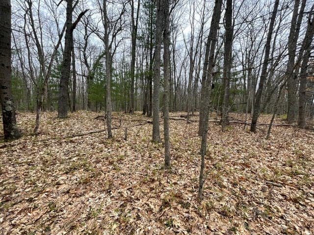 Parcel D Coates Hwy, Brethren, MI 49619