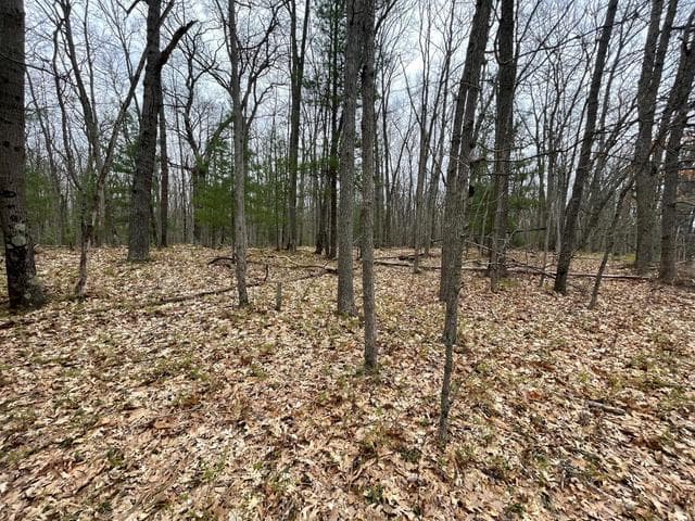 Parcel D Coates Hwy, Brethren, MI 49619