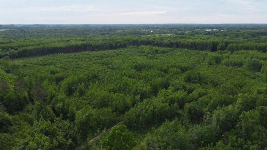 E Freesoil Road 40 acres, Free Soil, MI 49411