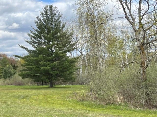 11148 N Satterlee Road, Lakeview, MI 48850