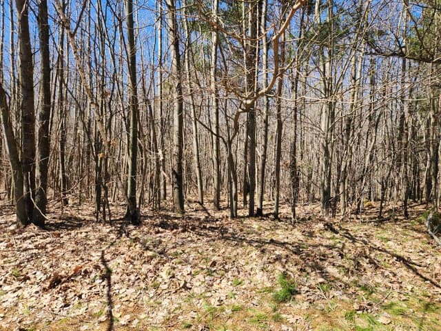 W Starlight Ridge Circle 62, Onekama, MI 49675