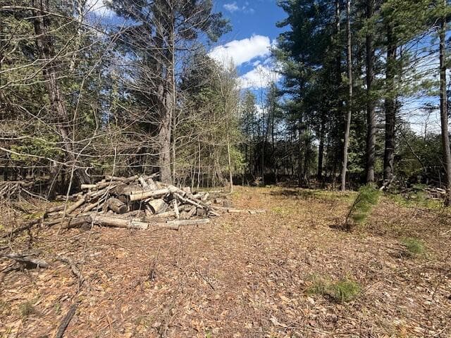 735 N Lakola Road, Leroy, MI 49655
