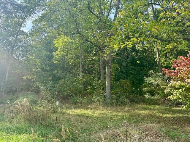 5489 130th Avenue, Fennville, MI 49408