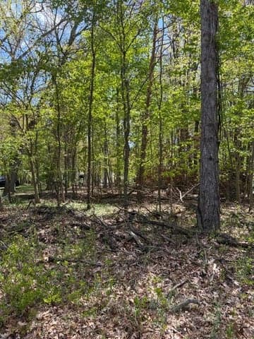 11513 Hillary Drive, Jerome, MI 49249