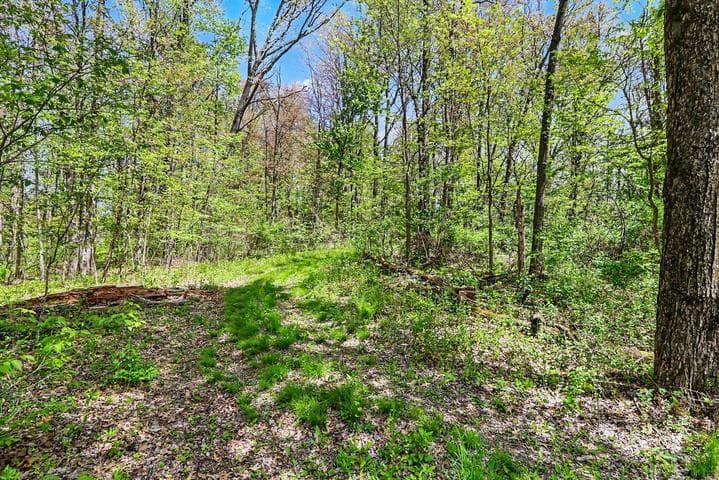 N Uldriks Road, Battle Creek, MI 49017