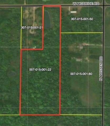 V/L McBride Road NW, Stanton, MI 48888