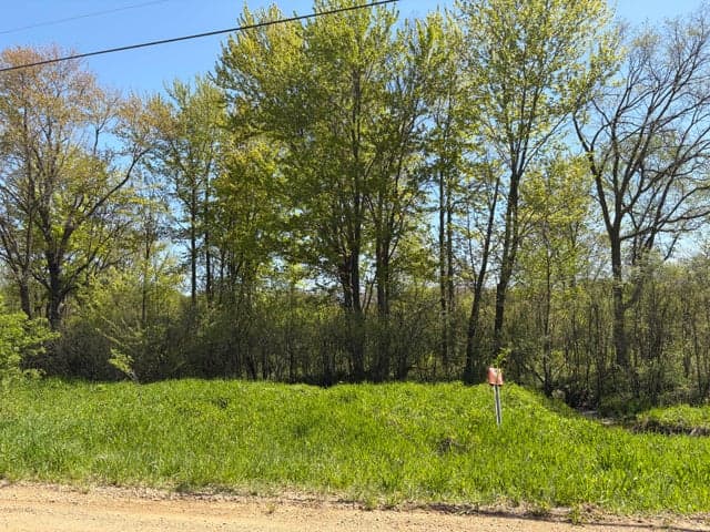 00000 41st Street Parcel D, Paw Paw, MI 49079