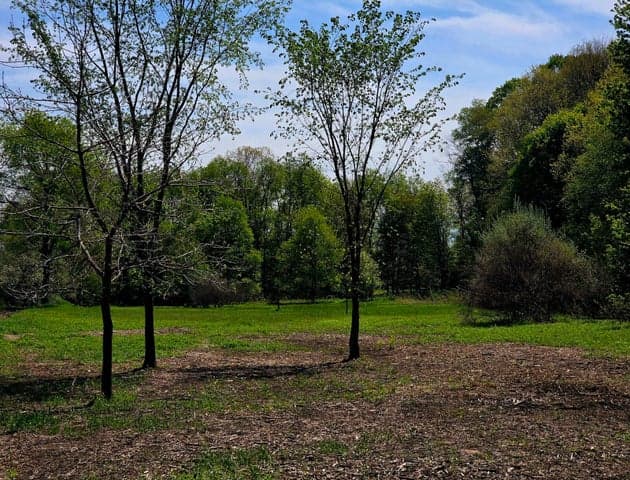 Parcel 005 S Baldwin Avenue, White Cloud, MI 49349