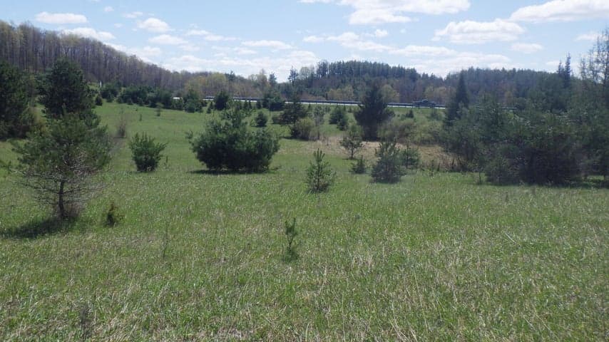 S 39 Road, Cadillac, MI 49601