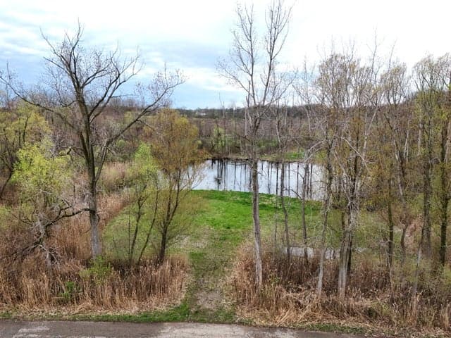 VL Tulip Tree Lane, Cassopolis, MI 49031