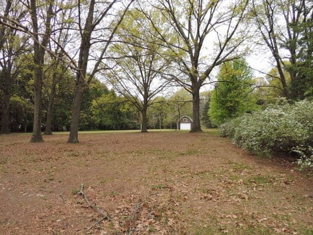 V/L 55th Street, Fennville, MI 49408