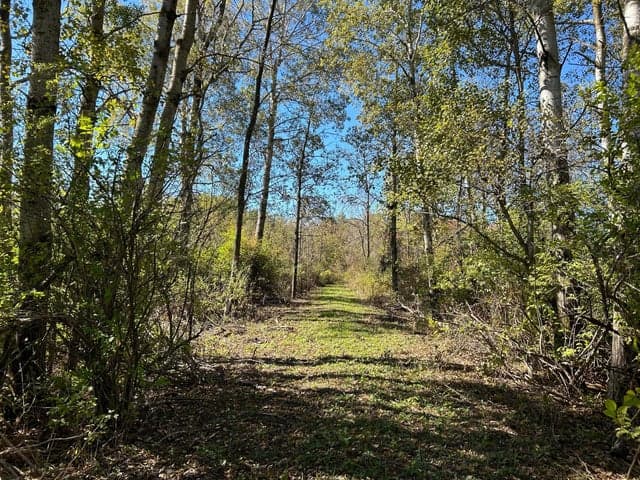 V/L 30th Avenue, Remus, MI 49340