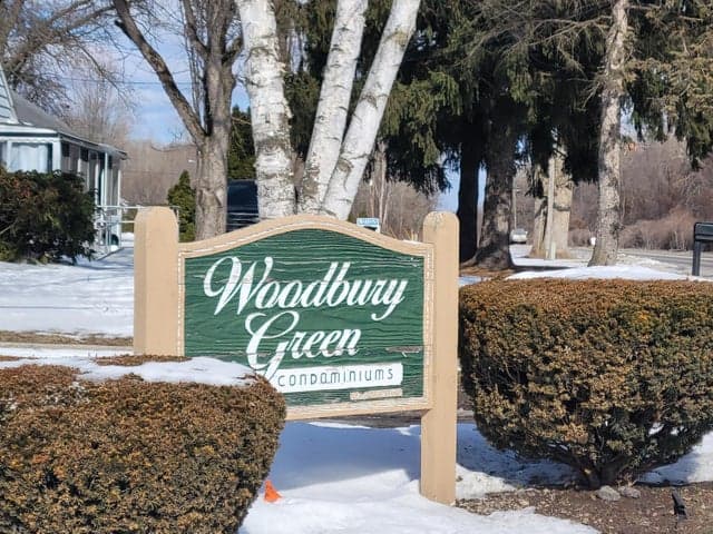 41276 N Woodbury Green Drive, Belleville, MI 48111