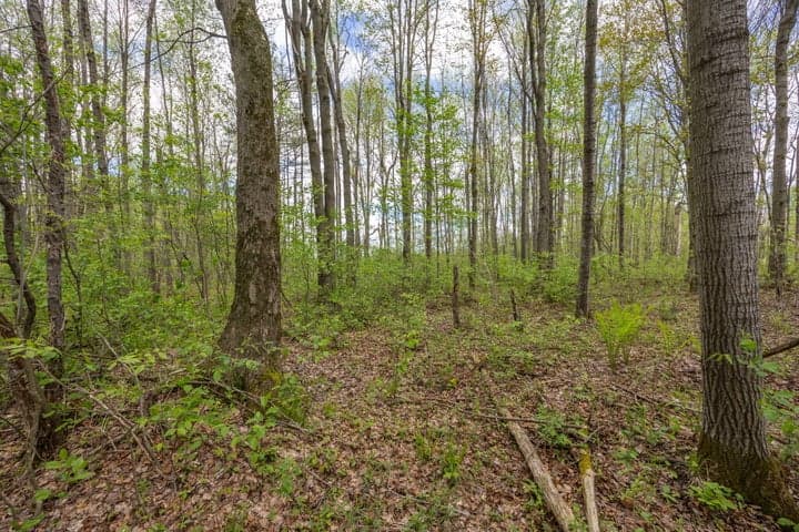16130 140th Avenue, Leroy, MI 49655