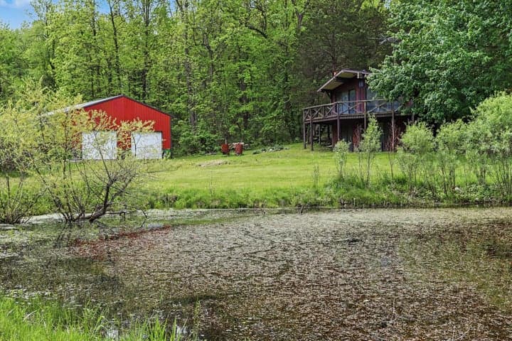 Photo 4