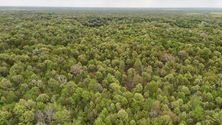 N Magruder Road, Coleman, MI 48618