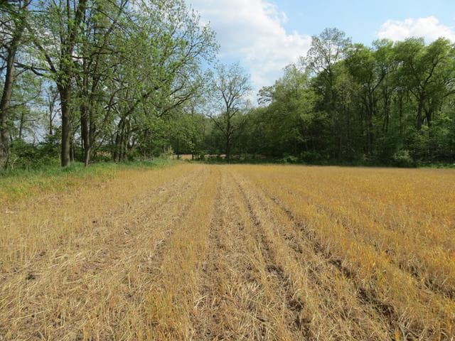 S Stony Lake Road B, Jackson, MI 49201