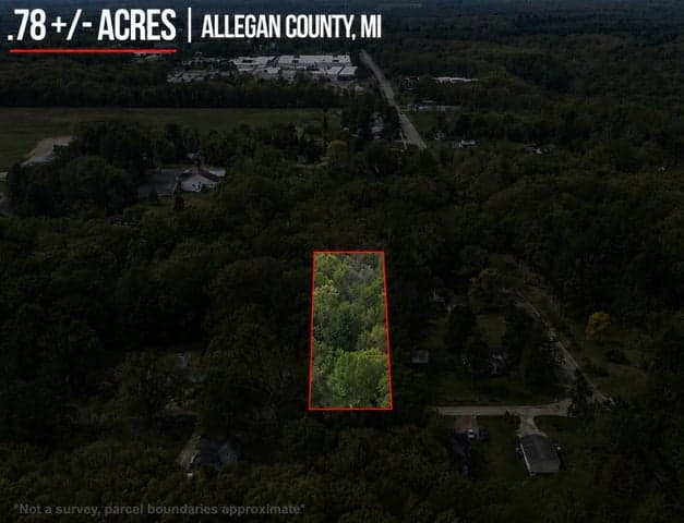 202 Lowe Street, Allegan, MI 49010