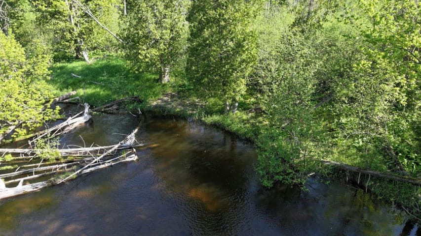 V/L E Pomeroy Springs Road, Irons, MI 49644