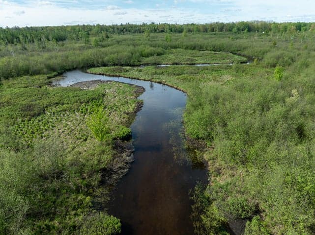 V/L 164.81 3 Mile Road, Sears, MI 49679