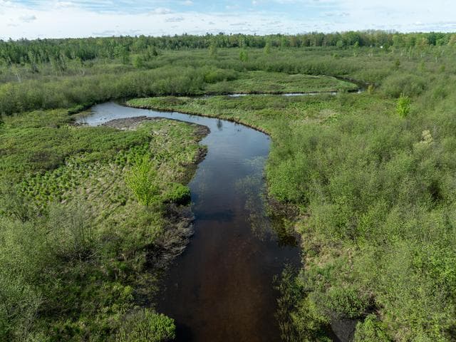 V/L 164.81 3 Mile Road, Sears, MI 49679