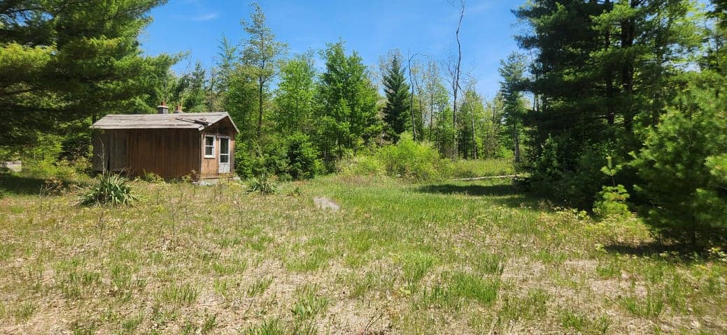 7746 N Woodbridge Road, White Cloud, MI 49349