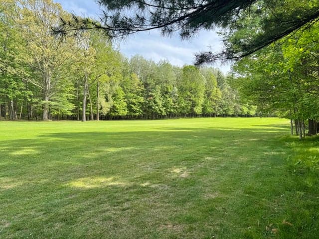 6798 Beechnut Ridge, Canadian Lakes, MI 49346