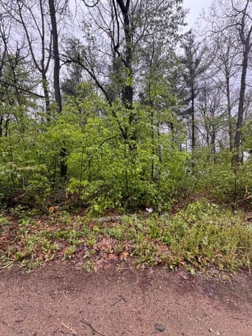 V/L Paw Paw Trail, Howard City, MI 49329