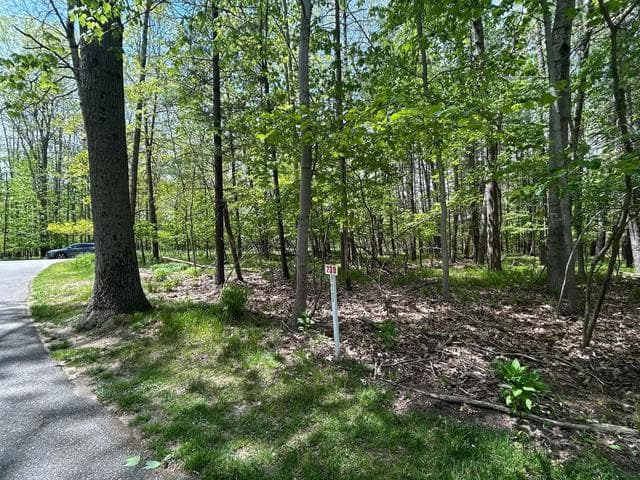 6718 Beechnut Ridge 239, Canadian Lakes, MI 49346