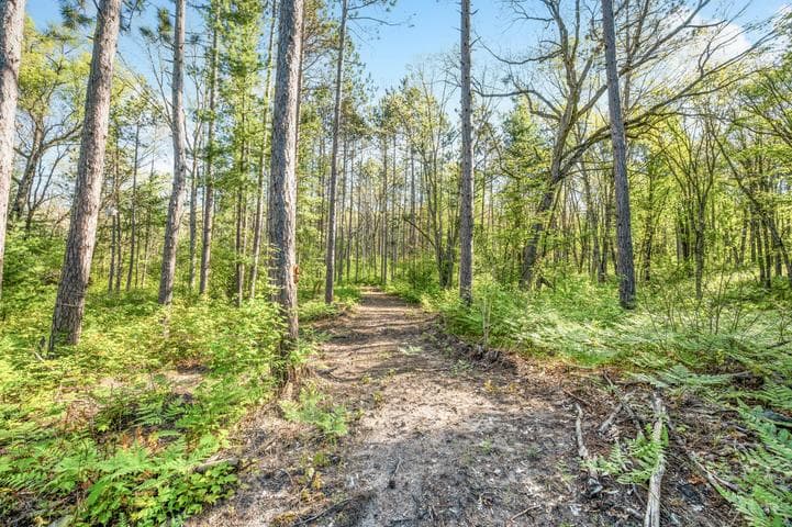 V/L Nelson St, Baldwin, MI 49304