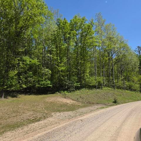 4796 90th Avenue, Evart, MI 49631