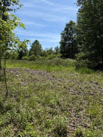 V/L 50th Street, Bangor, MI 49013