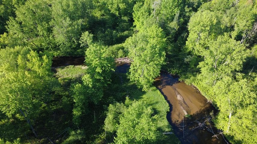 17639 N 20th Avenue, Marion, MI 49665
