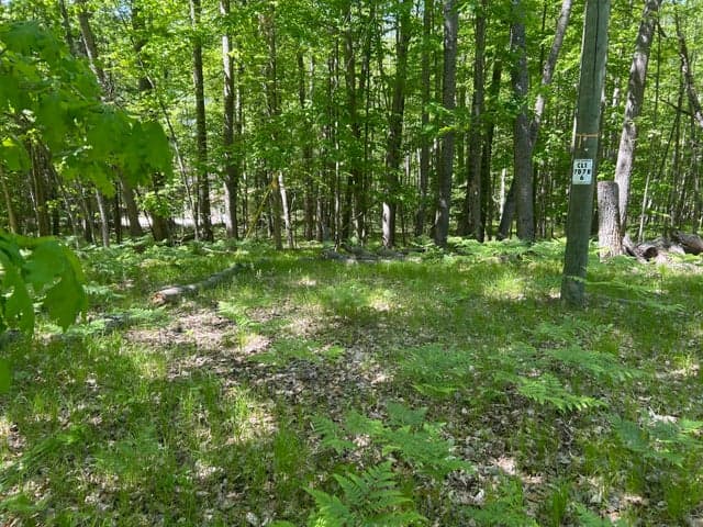8297 Highland Trail 349, Canadian Lakes, MI 49346