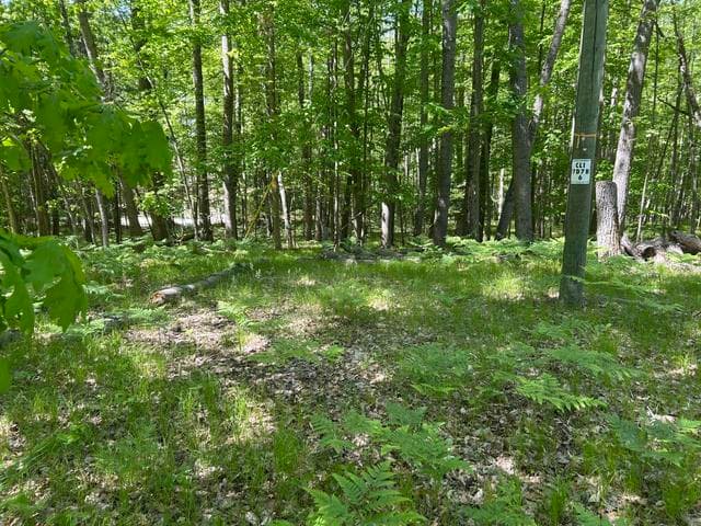 8297 Highland Trail 349, Canadian Lakes, MI 49346