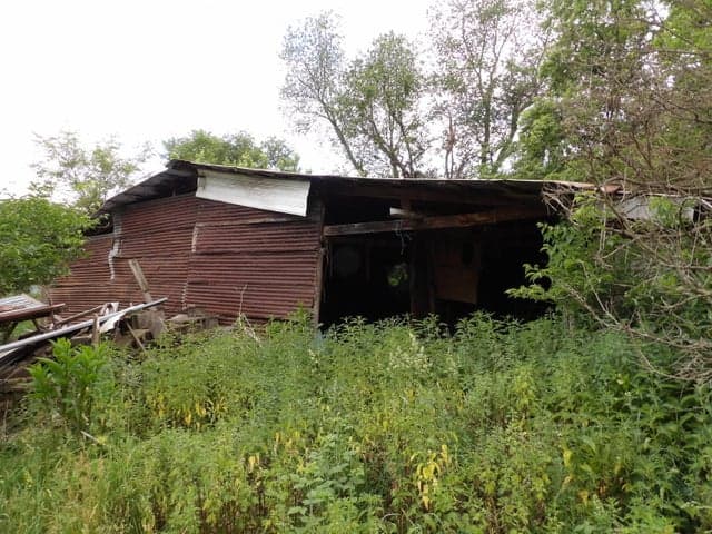 Photo 4